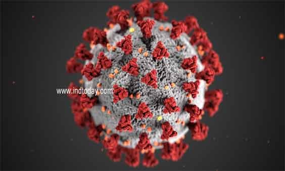 Andhra Pradesh Achieves 5th Position in Covid Vaccination