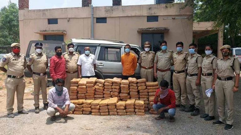 Ganja Worth Rs 55 Lakh Seized In Sangareddy