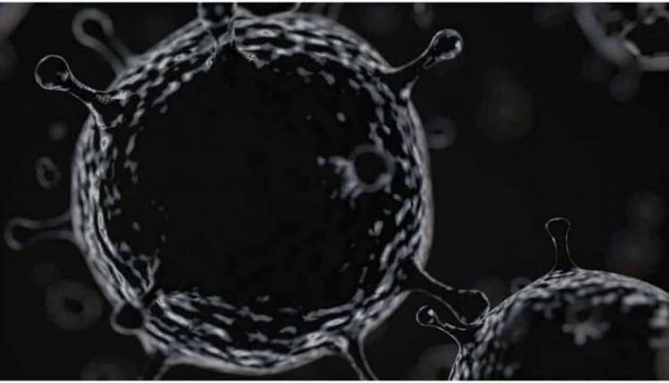 3,900 Cases of Black Fungus in Karnataka: Minister Sudhakar