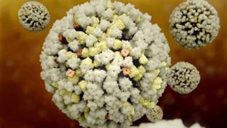 China : First Human Case Reported of Bird Flu