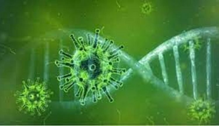 First Case of Green Fungus Reported in India