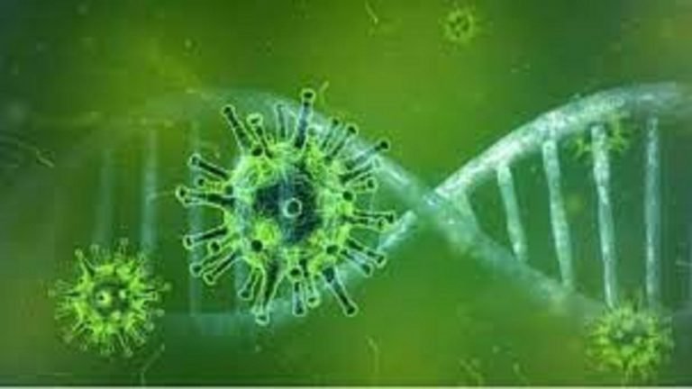 First Case of Green Fungus Reported in India
