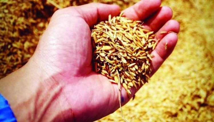 Nalgonda Police seized spurious seeds worth 6 Cr