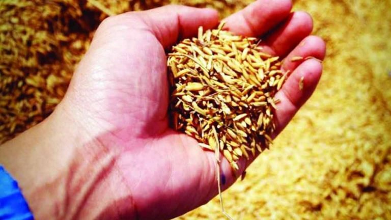 Nalgonda Police seized spurious seeds worth 6 Cr