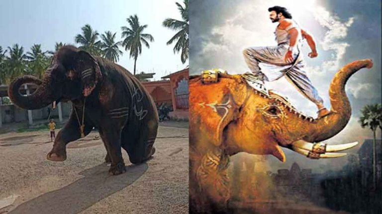 Hyderabad: ‘Baahubali’ Touch to Bonalu Festivities