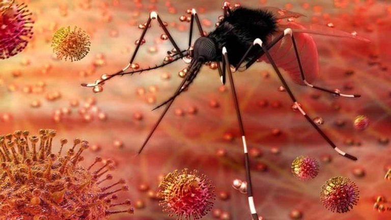 Kanpur Reports One More Case of Zika Virus