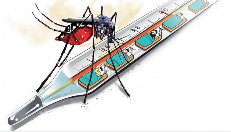 Dengue cases on the rise in Hyderabad