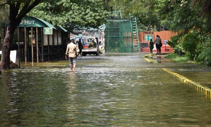 Heavy rains: Nehru Zoological Park Flooded
