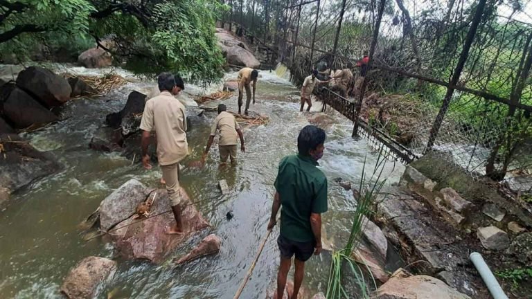 Heavy rains: Nehru Zoological Park Flooded