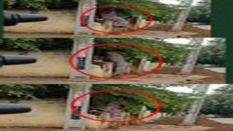 Telangana: Teacher Jumps Wall to Enter School