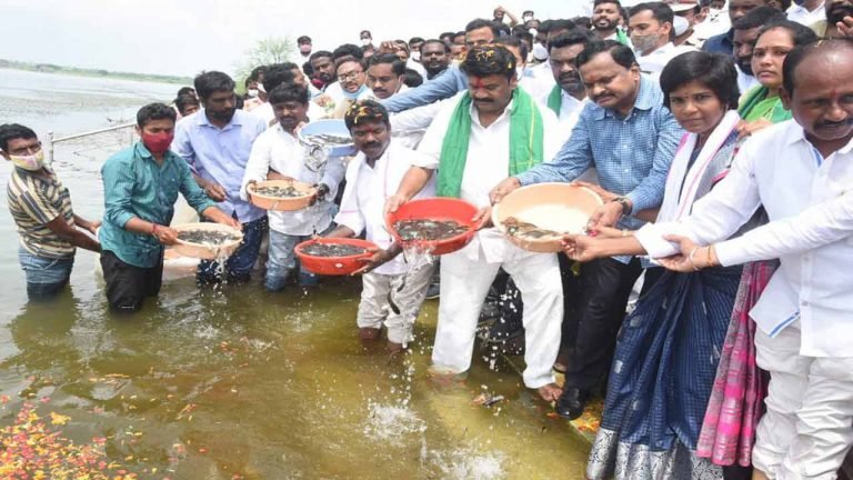 Talasani Drops Fish at Siricilla District