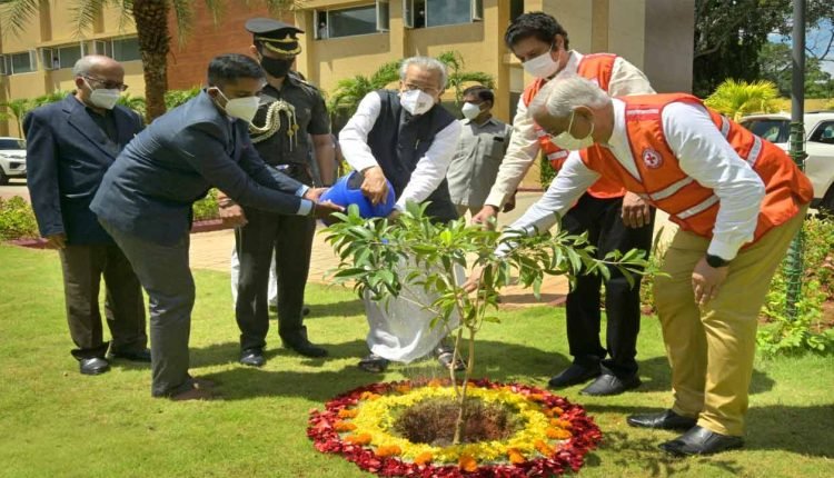 AP Governor launches one million tree plantation programme