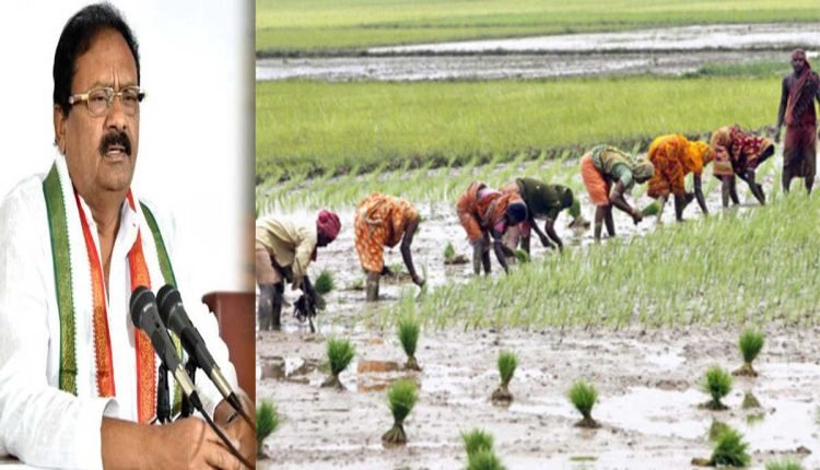 Pay compensation to paddy farmers for alternate crops: Congress