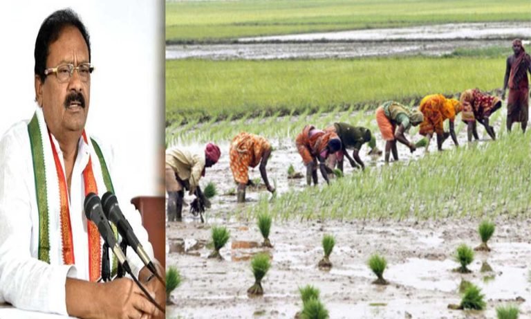 Pay compensation to paddy farmers for alternate crops: Congress