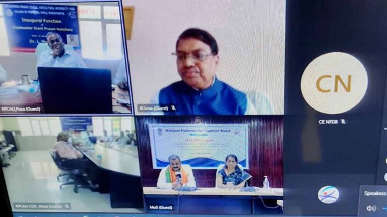 Sea weed culturing being promoted in a big way: Murugan