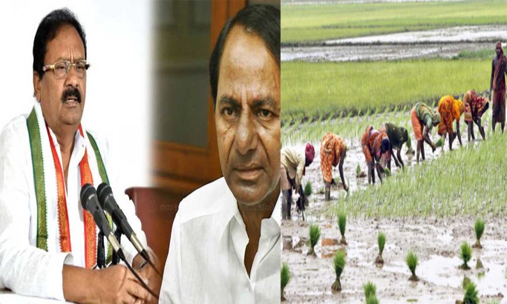 Pay compensation to paddy farmers for alternate crops: Congress