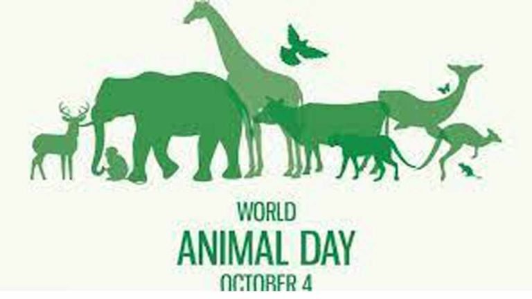 World Animal Day 2021: History, Significance, Quotes and Wishes