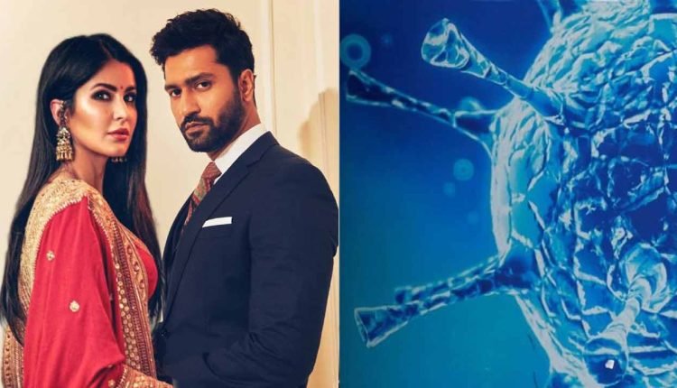 Katrina Kaif and Vicky Kaushal Wedding: Actors to Downsize the guest list due to new Covid variant?