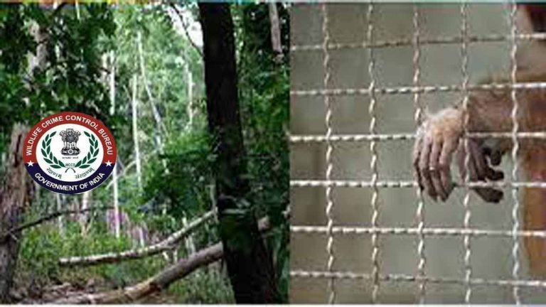 Directions Given to Tamil Nadu Forest and Wildlife Crime Control Bureau by Govt