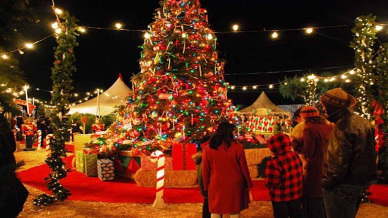 Gatherings For Christmas, New Year Banned In Delhi Over Omicron Threat