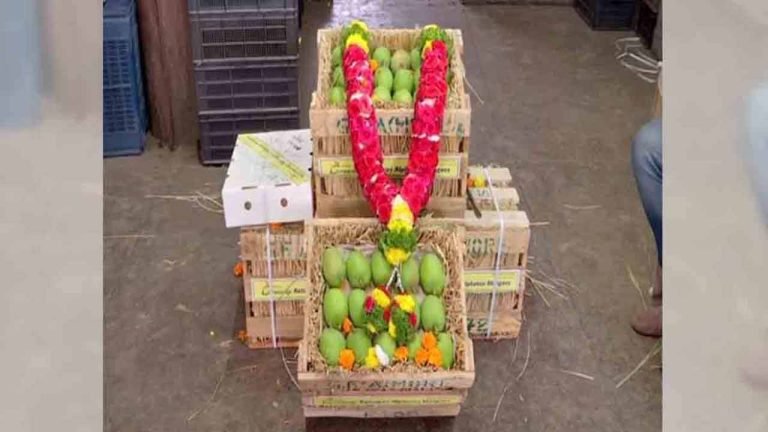 Pune: Mango Crate Sold For Rs 31,000 in Auction