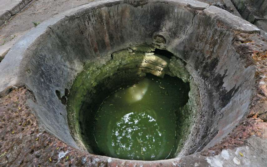 11 women die after drowning in well in UP