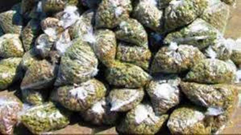 PD act invoked against Muhammed Shameer for smuggling 240kg ganja