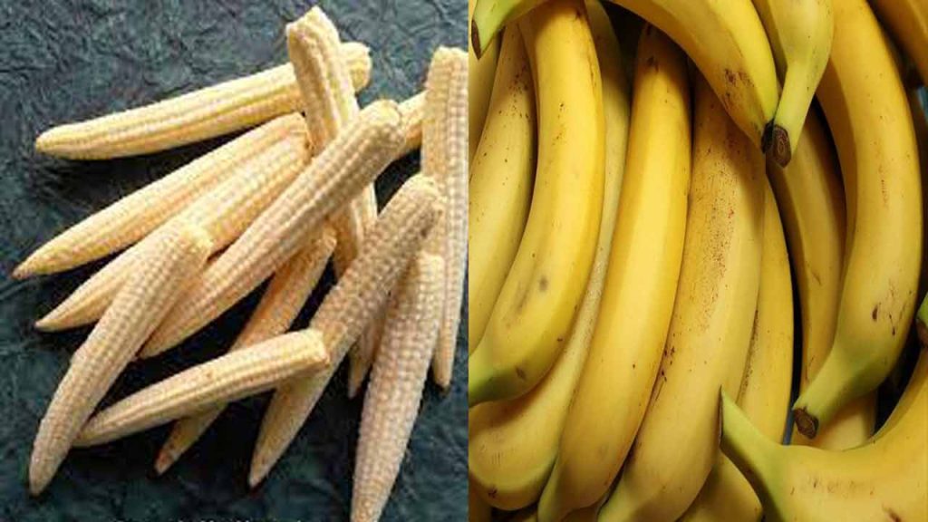 Indian banana, baby corn get market access in Canada