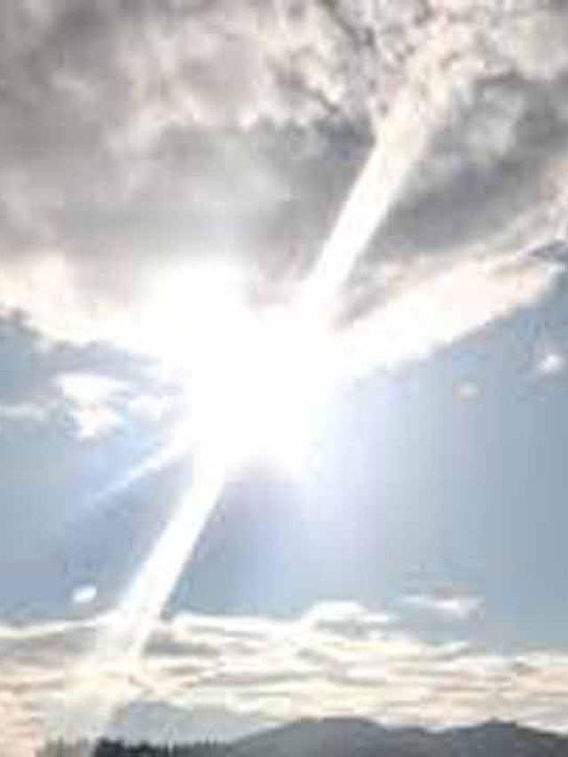 cropped-sunny-day.jpg