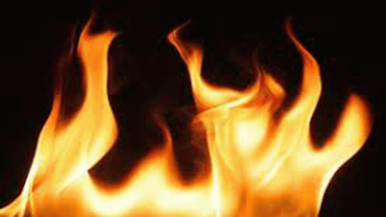 Fire Breaks Out In Rayalapur Forest Area In Medak