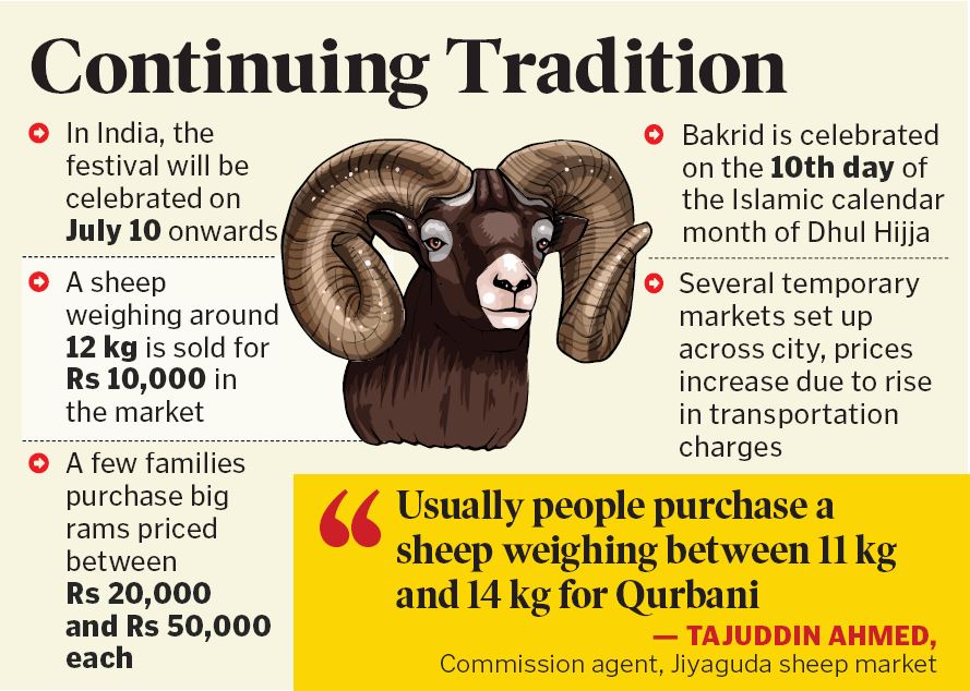 Hyderabad: Over 2 Lakh Sheep Sold for Bakrid 2022