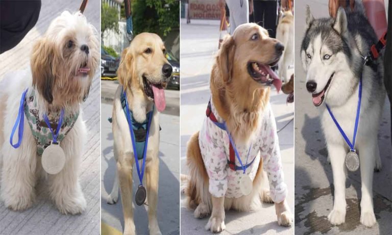 Dogathon Hyderabad: 400+ runners and 27 Dogs and their owners participated