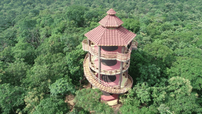 Six urban forest parks will be inaugurated in Hyderabad on Thursday