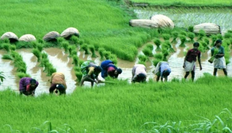 All-India Consumer Price Index Numbers For Agricultural And Rural Labourers – July, 2022