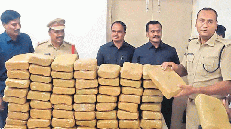 Inter-State Drug Racket busted, 350 kg ganja seized