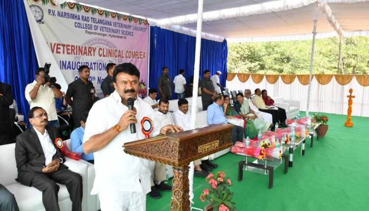 Three New Veterinary Colleges To Be Setup In Telangana: Talasani