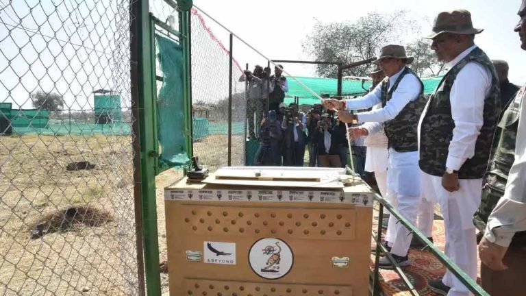 PM welcomes the new batch of 12 cheetahs in Kuno National Park