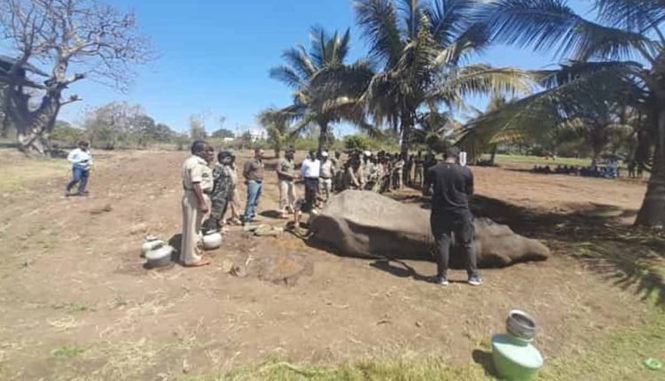 PM Compliments staff at Bandipur Tiger Reserve for saving the electrocuted elephant