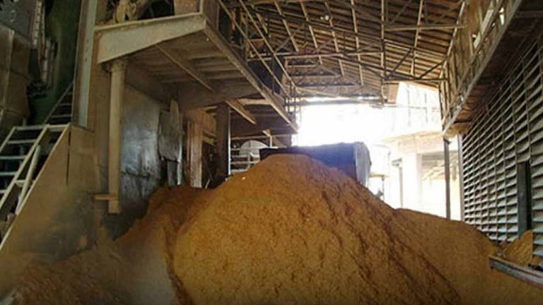 Rice Mill Making Electricity From Paddy Husks