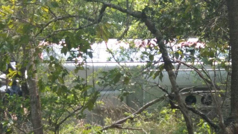 Electric Bus Overturned At Tirumala Ghat