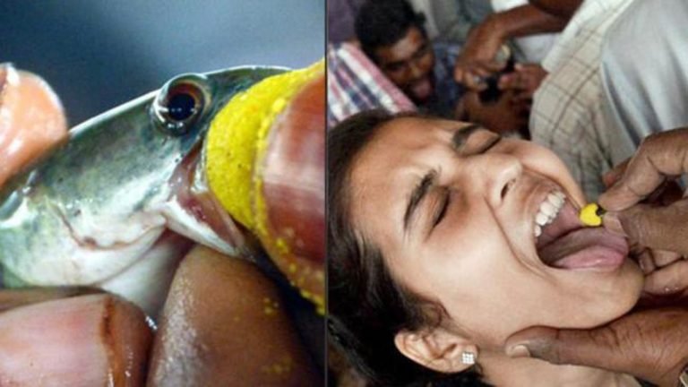 Bathini Brothers To Distribute Fish Prasad At Exhibition Ground On June 9