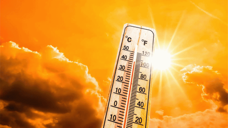 Heat Wave Warning In Telangana For Seven Days