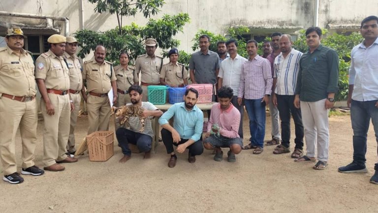 Hyderabad: Pub Owner, 5 Others Held for Display of Exotic Pets