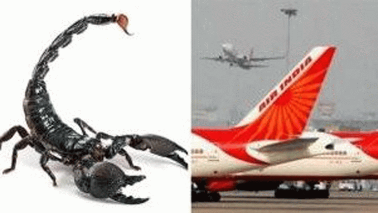 Passenger Stung by a Scorpion on Air India flight