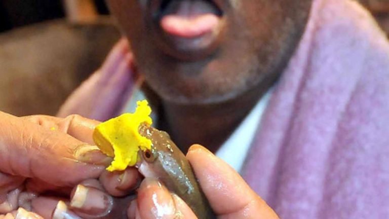 Fish Prasadam To Asthma Patient Will Commence At 9 AM On June 9