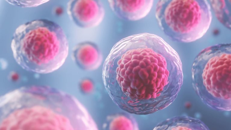 World Sickle Cell Day 2023: Stem Cell Transplants providing hope for Sickle Cell Patients in India