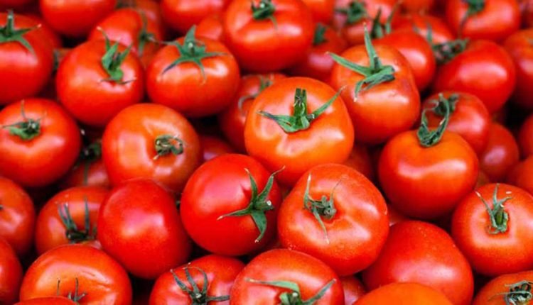 Tomato Prices Are Increased in Hyderabad