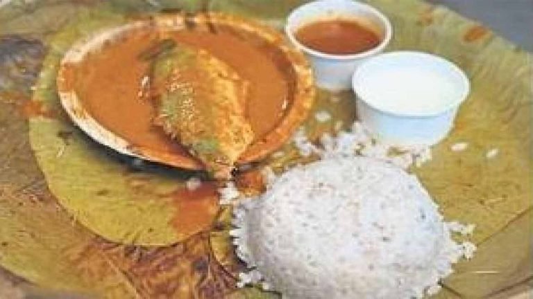 Fisheries Dept plans To Include Fish Curry As Part Of The Midday Meal For Student