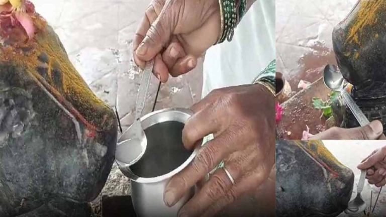 Nandi Statue Drinking Milk: Devotees Lined Up
