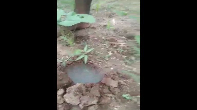 Strange: Smoke Coming Out When Land Dig To Sow Plant
